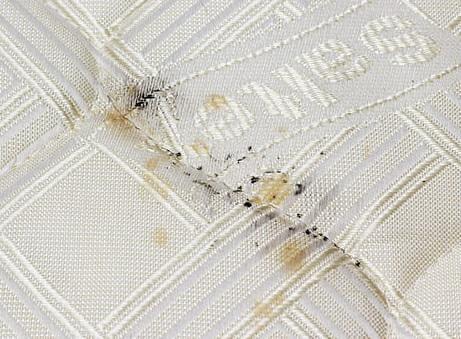 Bed Bug fecal matter.  This is a sign of an advanced infestation that we recently treated...