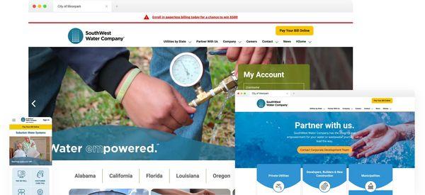 Our Work: ADA-Compliant Web Design and Web Development for Southwest Water Company