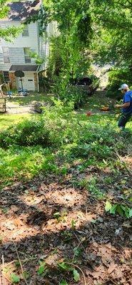 Land clearing