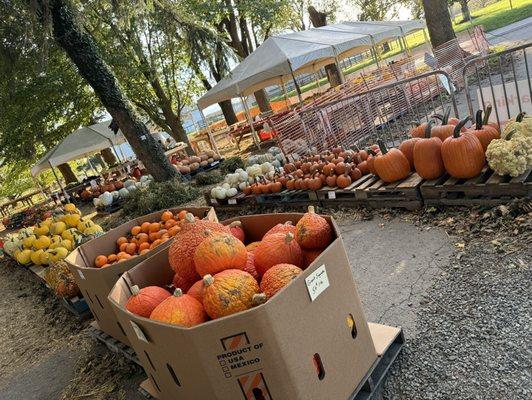 Farmer John's Market