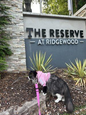 The Reserve At Ridgewood