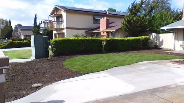 After My front lawn looks awsome