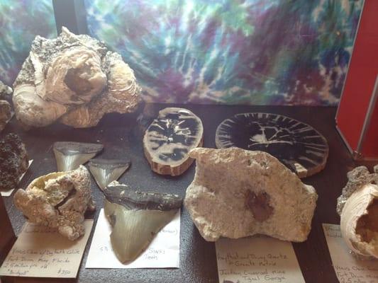 Cool fossils.