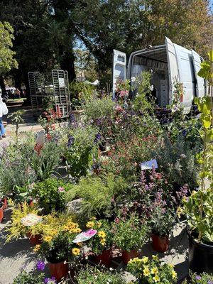 Flower vendor