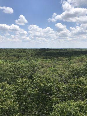 View from the fire tower.