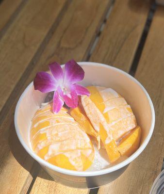 Mango Sticky Rice