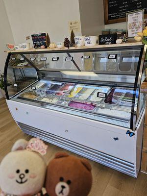 Gelato and sorbet in the display case