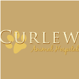 Curlew Animal Hospital