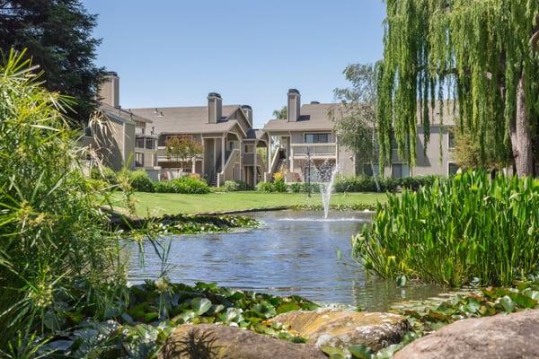 Relaxing lake views