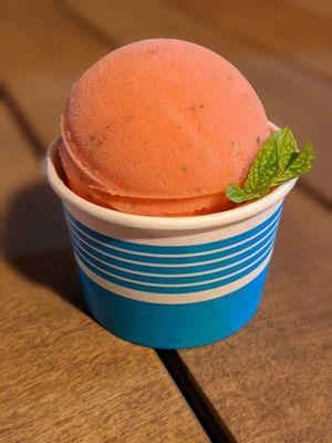 Scotty's Homemade Italian Ice