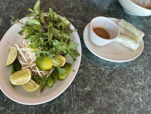 Garnish and shrimp spring rolls