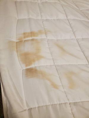 Even worse stain on the blanket