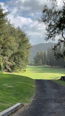 Wailua golf cart path and fairway