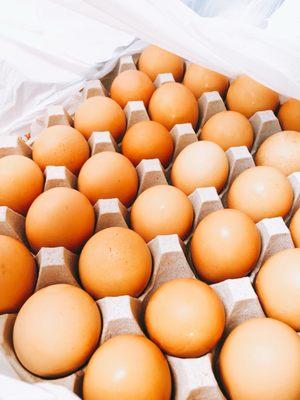 Fresh farm eggs