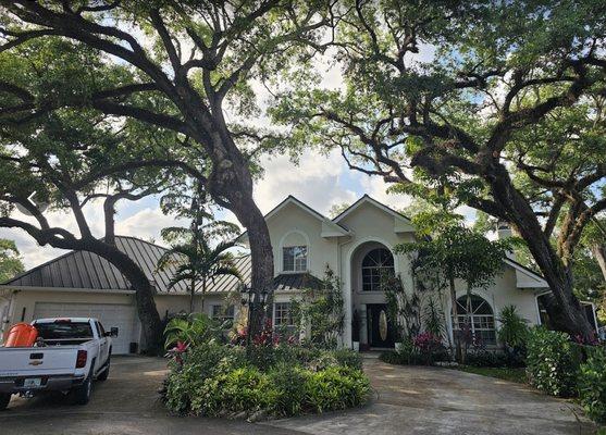 High Standards Tree Care