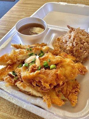 Warr Shui Guy lunch special. Thin, crisply fried chicken breast served with brown gravy and fried rice.