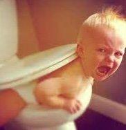 This is my son stuck in the toilet