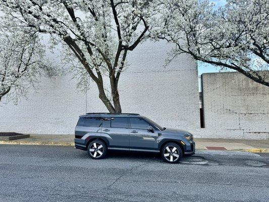 Side profile of side windows tinted