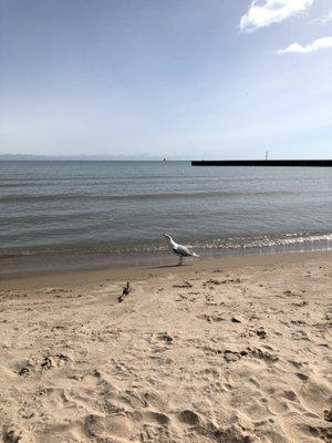 Beach in winter