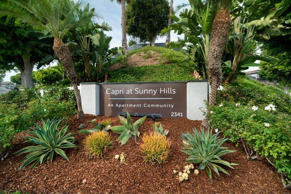 Capri at Sunny Hills Apartments