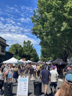 Mississippi Street Fair