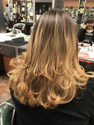 - Color (Light Brown) - Balayage  - Hair Cut - Blow Dry