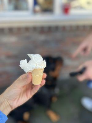 Cutie dog cone