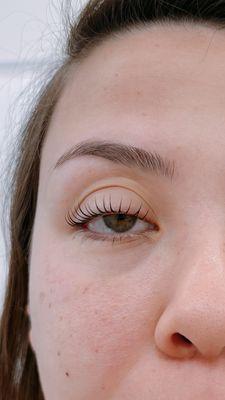 Premium no glue lash lift