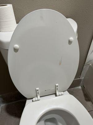 Substance/stain on toilet lid