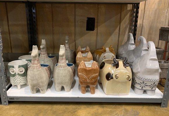 Cute animal pots