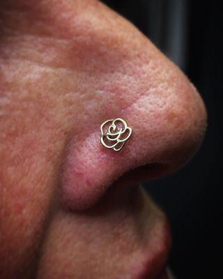 Nostril done with a 14k gold rose top