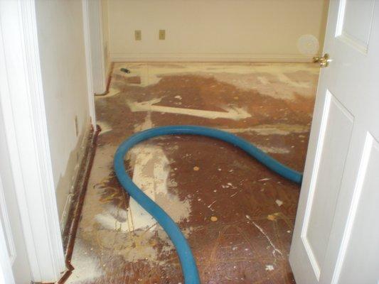 Rancho Palos Verdes, water damage, Wooden subfloor