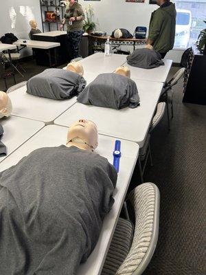 CPR dummies