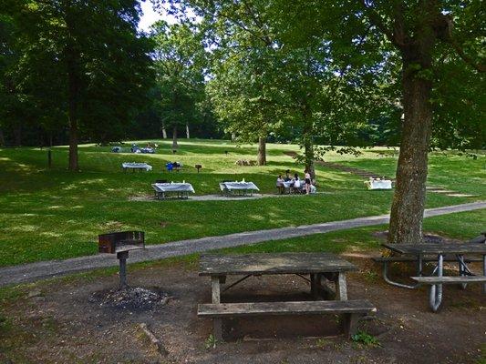 Grills & Picnic Area