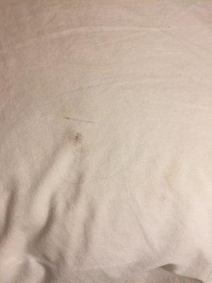 Filthy soiled makeup stained pillowcases with hair all over them.