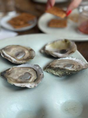 Raw Oysters