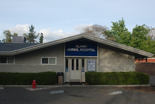 The entryway to Alamo Animal Hospital as viewed from Danville Boulevard