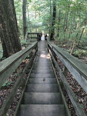 Lonnnnng stairs