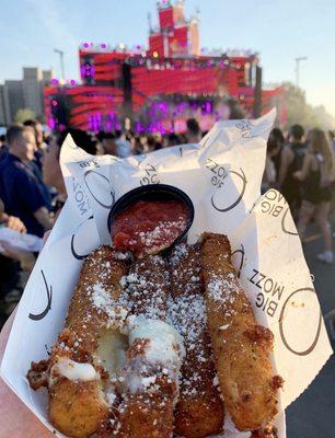 Vendor at ezoo music fest