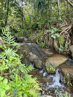 Small Streams Along the Trail