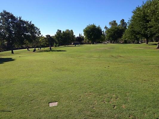 From the clubhouse looking at the first green.