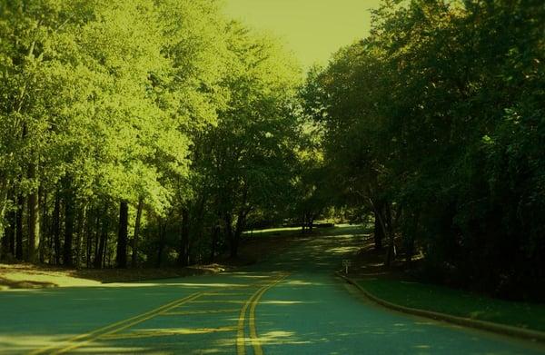 Driveway into Office Park