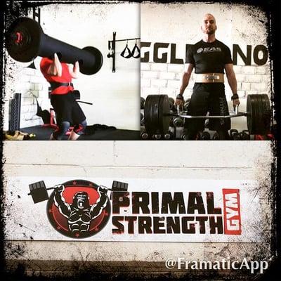 Primal Strength Camp