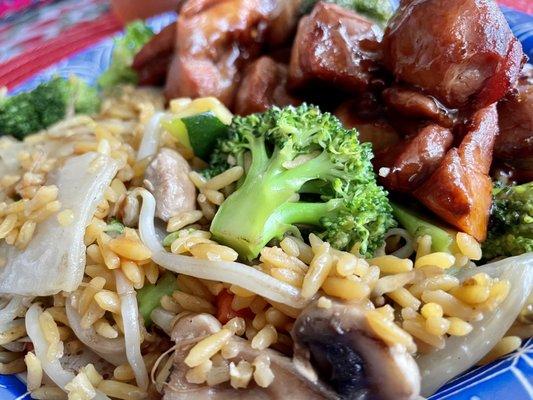 Bourbon chicken with vegetable fried rice...Bean sprouts added to the rice!