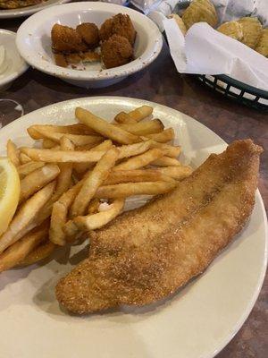 Single fried fish. Big piece!