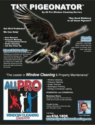 The Pigeonator by All Pro Window Cleaning