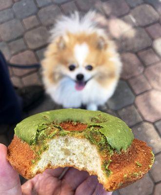 Matcha Mochi Donut, Third Culture Bakery | $3.80 (Dog-friendly seating outside.)