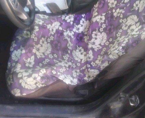 Picture to show the torn car seat cover