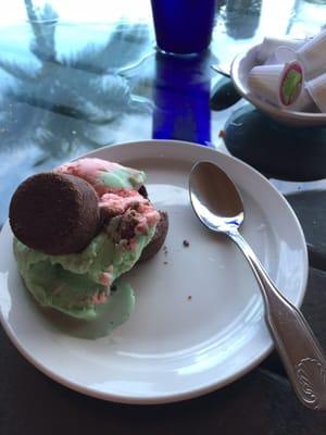 Spumoni and brownies!