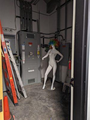 Yes,the electric/maintenance closet!